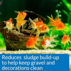 LoveFish - Goldfish Cleaner Protect - Vi sinh dị dưỡng, Ezyme & khử độc clo, cloramin, NH3, kim loại nặng mạnh nhất