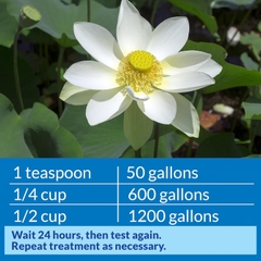 API  - pH Down Pond - Giảm pH cho bể/ao thủy sinh