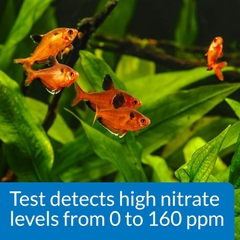 API - Test NO3 - Kiểm tra NO3 trong nước ngọt & mặn
