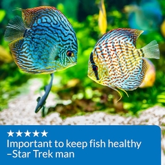 LoveFish - pH Up - Tăng pH và KH cho bể cá nước ngọt