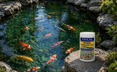 Pondcare - Remediation Clean41 - Vi sinh yến mạch phân hủy hữu cơ tầng đáy