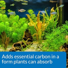 LoveFish - CO2 ooster - CO2 và carbon quang hợp cho bể thủy sinh