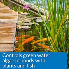 Lovefish - Microbial Algae Clean - Vi sinh kỵ khí tùy nghi diệt tảo, phân hủy hữu cơ và NO3