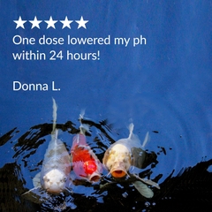 API  - pH Down Pond - Giảm pH cho bể/ao thủy sinh