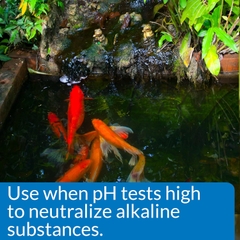 API  - pH Down Pond - Giảm pH cho bể/ao thủy sinh