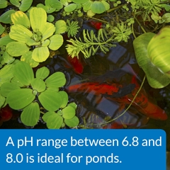 LoveFish - Pond pH Up - Tăng pH và KH cho ao cá và nước biển