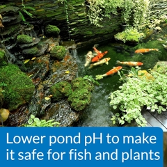 API  - pH Down Pond - Giảm pH cho bể/ao thủy sinh