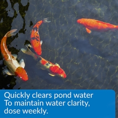 API - Accu Clear Pond - Làm trong nước ngọt cấp tốc