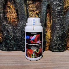 Amazon & Borneo Elemental - Khoáng cho cá thuộc sông Amazon và Borneo