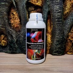 Amazon & Borneo Elemental - Khoáng cho cá thuộc sông Amazon và Borneo