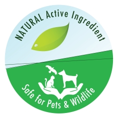 API - Stress Coat Pond  - Giảm stress, khử độc nước cho cá nước ngọt & mặn, tép