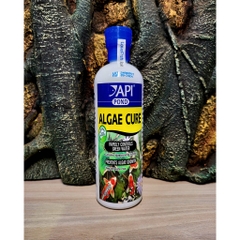 API - Algae Cure - Vi sinh ăn tảo Sống và kết tụ mây siêu trong, tiêu hao NO3 & PO4 nước Ngọt & Mặn
