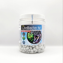 LifeBacter M - Vật liệu lọc sinh học size Trung HỮU DỤNG  NHẤT