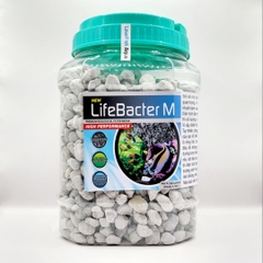 LifeBacter M - Vật liệu lọc sinh học size Trung HỮU DỤNG  NHẤT