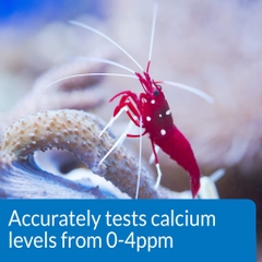 API - Kiểm tra test Canxi trong nước biển