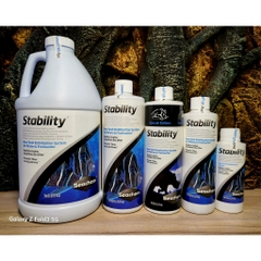 Seachem-  Stability - Vi sinh khử Nito cho bể cá nước ngọt & mặn