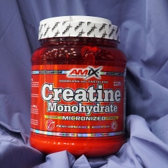 Amix Creatine Monohydrate Micronized (500g)