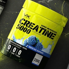 VitaXtrong Super Micronized Creatine 5000 (330g)