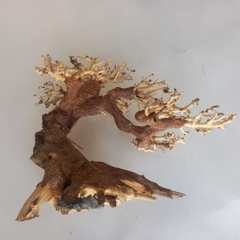 Cây Gỗ Lũa Bonsai Phần Tán Cây Xương Dùng Để Cấy Rêu | Size nhỏ, vừa, to