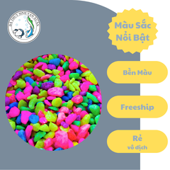 1 Kg Sỏi Nhiều Màu Trang Trí Hồ Cá, Bể Cá, Bể Thủy Sinh, Chậu Cây Size Nhỏ Vừa To