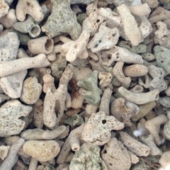 SAN HÔ LỌC NƯỚC HỒ CÁ 500gr