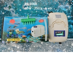 Máy Sạc Oxy Tích Điện Bình Ắc Quy Thương Hiệu REDSUN (AC-DC)