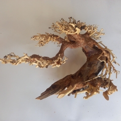 Cây Gỗ Lũa Bonsai Phần Tán Cây Xương Dùng Để Cấy Rêu | Size nhỏ, vừa, to