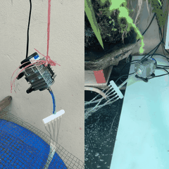 Dây Sủi Phi 4li Dây Dẫn CO2/Oxy Chuyên Dụng Cho Bể Thủy Sinh Hồ Cá Cảnh [CUỘN 30-33m]