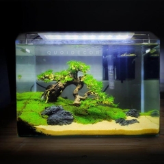 Lũa Bonsai Dáng Huyền Ghép Tán Lá Nhựa | Size Nhỏ ; Vừa ; To ; Đại