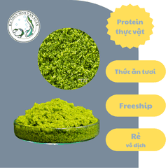 Bèo Phấn – Bèo Trứng Cá (Wolffia) – Thức Ăn Bổ Sung Protein Nguồn Gốc Thực Vật Hồ Cá Cảnh 100gram