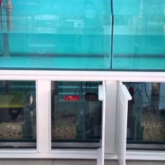 SAN HÔ LỌC NƯỚC HỒ CÁ 500gr