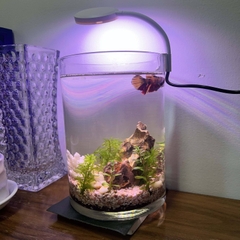 Đèn Led Kep Vỏ Trắng Siêu Mini Jeneca D1-S