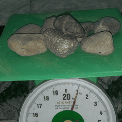 Đá Cuội | Size Nhỏ, Vừa, To, Đại