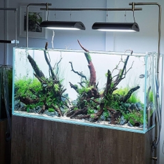 Decal Dán Bể Cá, Dán Nền Hồ Cá Cảnh Khổ 60cm Chiều Dài Theo Mét