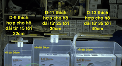 Đèn Led Kẹp Thành Bể Cá Jeneca D-9S, D-11S, D-13S