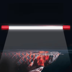 Đèn Led T8-52cm Red Arowana Cho Cá Rồng, Cá Lóc, Cá Vàng... Đỏ Cá Không Đỏ Nước