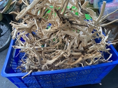 Lũa Hải Sa Quỳ Setup Trang Trí hồ cá thủy sinh 100G
