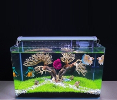 [FREESHIP HCM] Bể Cá Đúc Uốn Cong Hai Cạnh Mặt Trước SIZE 50cm