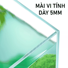 [FREESHIP HCM] Bể Cá Vuông 25 Hồ Cá Cubic Siêu Trong Nhập Khẩu PF-25 Perfect Aquarium