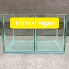 Hồ Nhỏ Gọn Nuôi Cá Betta Đẻ Cá  1 ngăn, 2 ngăn, 3 ngăn, 4 ngăn 5 ngăn siêu tiện lợi