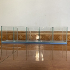 Hồ Nhỏ Gọn Nuôi Cá Betta Đẻ Cá  1 ngăn, 2 ngăn, 3 ngăn, 4 ngăn 5 ngăn siêu tiện lợi