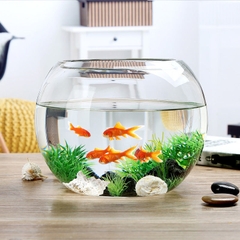 Chậu thủy tinh trang trí VX111, chậu thủy tinh trồng cây thủy sinh, bể cá mini để bàn, bể cá thuỷ sinh VX111