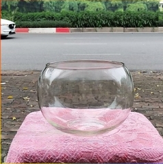 Chậu thủy tinh trang trí VX111, chậu thủy tinh trồng cây thủy sinh, bể cá mini để bàn, bể cá thuỷ sinh VX111