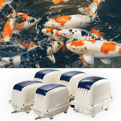 Máy Sủi Oxy Hồ Cá Jecod PA 35 - 45 - 80 - 100 - 150