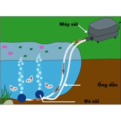 Máy Sủi Oxy Hồ Cá Jecod PA 35 - 45 - 80 - 100 - 150