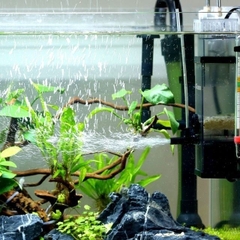 Lọc Váng Kèm Thổi Oxy Sunsun JY-03, JY-02