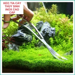 Kéo, Nhíp Cắt Tỉa Cắm Cây Thủy Sinh Jeneca Inox Chống Gỉ Chuyên Cho Thủy Sinh