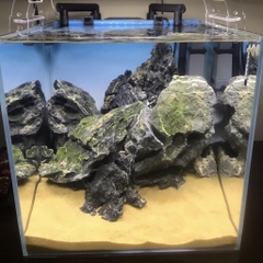 Đá Kẹp Kem | Size 5-10cm ; 10-20cm ; >20cm