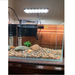 ĐÈN LED Kẹp KaoKui 13 WRGB Phù Hợp Hồ 20-40cm