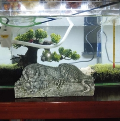 Tượng Song Long Tọa Thạch - Thạch Xanh Bàn Long Ngoạ Long Trang Trí Bể Cá, Bàn Làm Việc, Tiểu Cảnh, Tượng Lân Sư